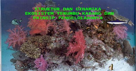 prinsip dating terumbu karang